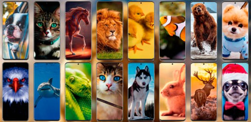 Animal Wallpapers Android app – HD / 4K animal backgrounds and wallpapers